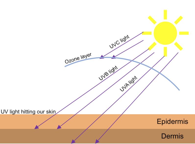 UV